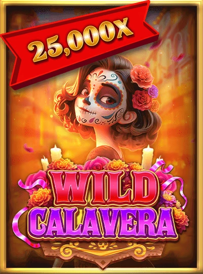ji789 new game